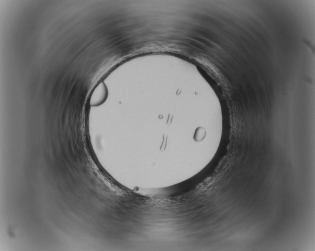 X0000099430894200806061017