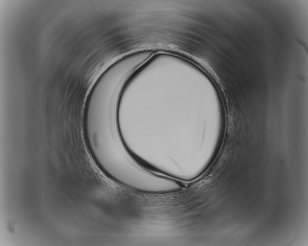 X0000099430895200806061016