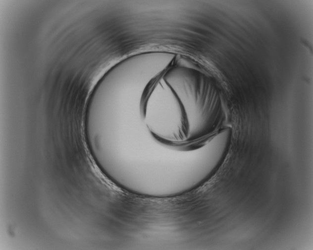 X0000099430896200806061016