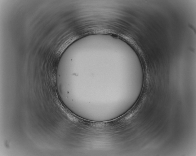 X0000099430897200806061016