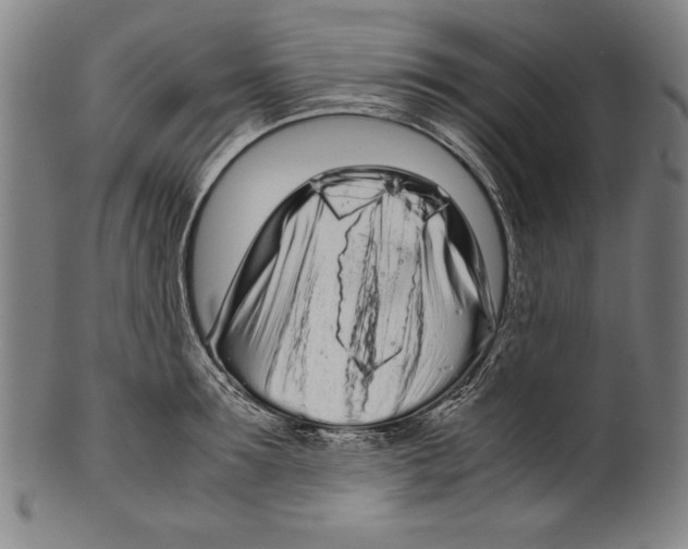 X0000099430899200806061016