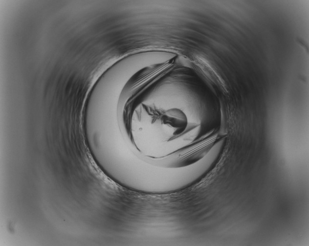 X0000099430900200806061016