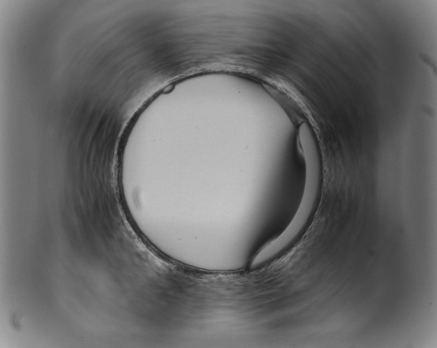 X0000099430902200806061016