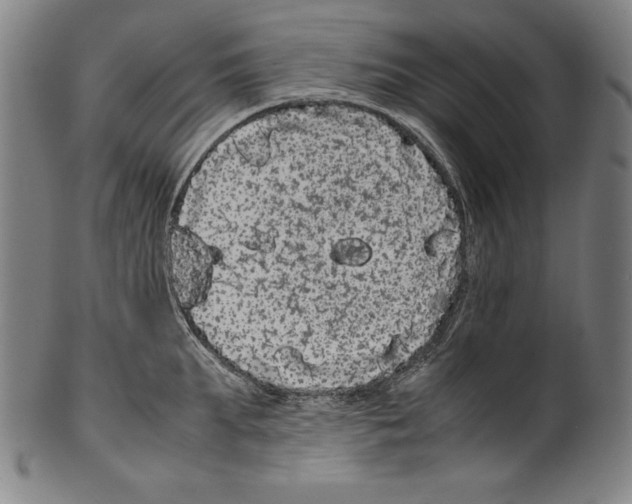 X0000099430903200806061016