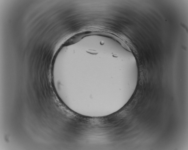 X0000099430904200806061016