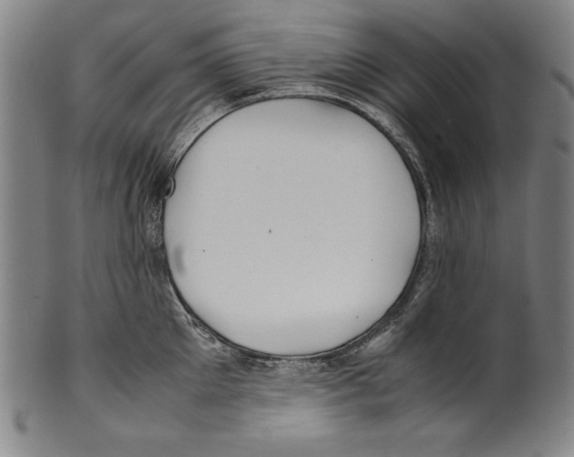 X0000099430905200806061016