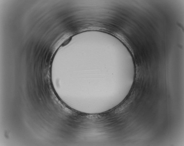 X0000099430906200806061016