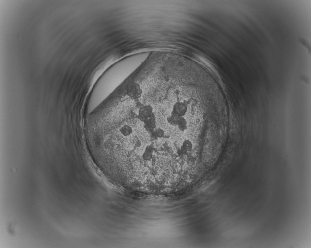 X0000099430907200806061016