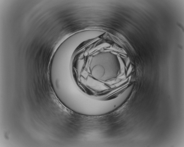 X0000099430908200806061016