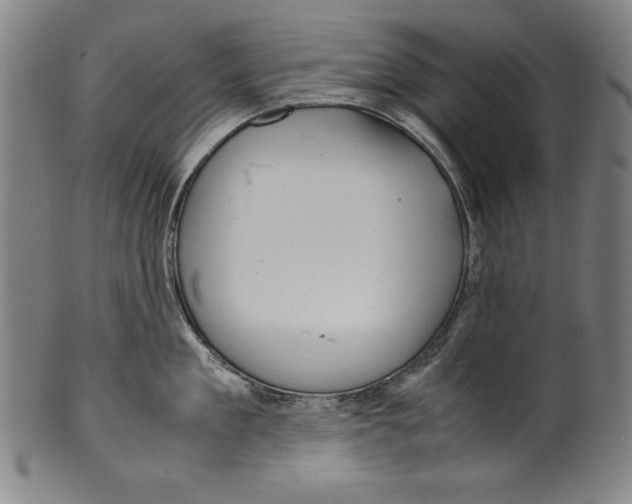 X0000099430909200806061016