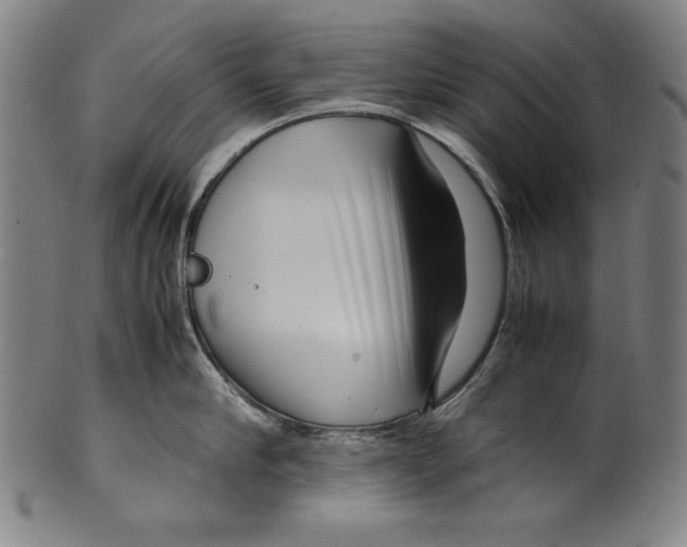 X0000099430910200806061016