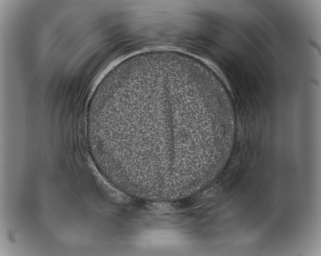 X0000099430911200806061016