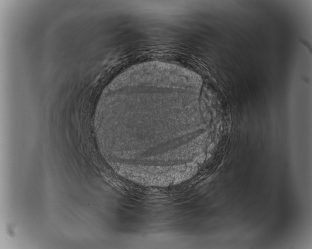 X0000099430913200806061015