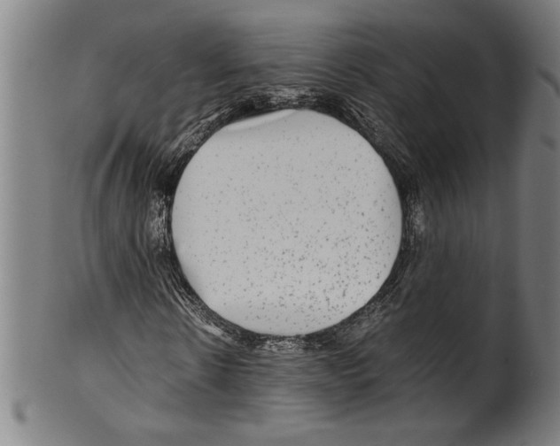 X0000099430914200806061015