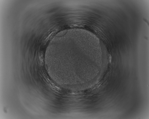 X0000099430915200806061015