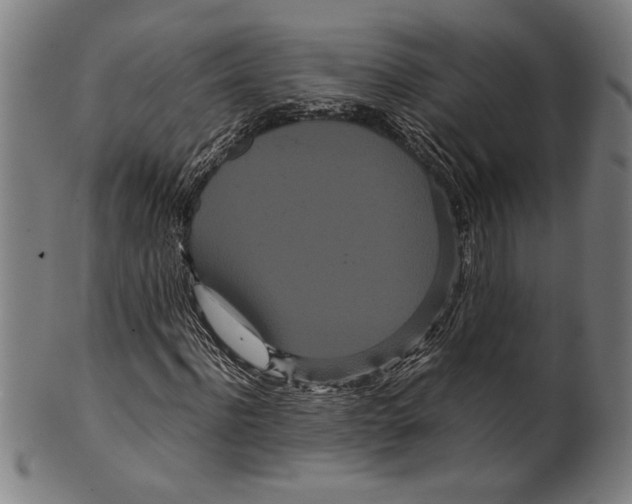 X0000099430916200806061015