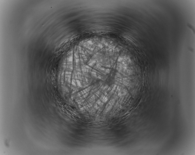 X0000099430917200806061015