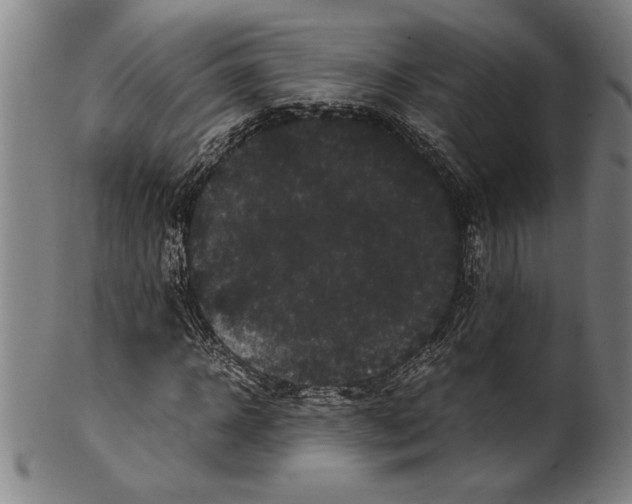 X0000099430918200806061015