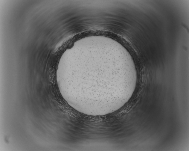 X0000099430919200806061015