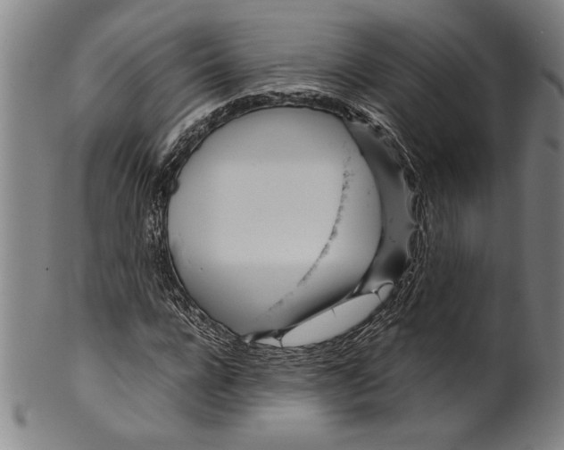 X0000099430920200806061016