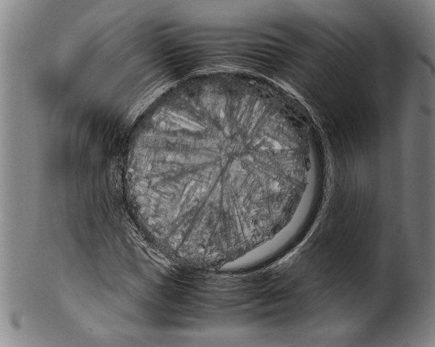 X0000099430921200806061016