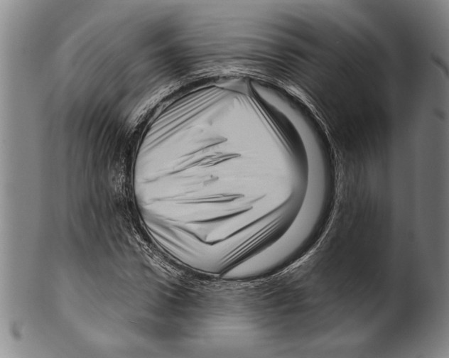 X0000099430922200806061016