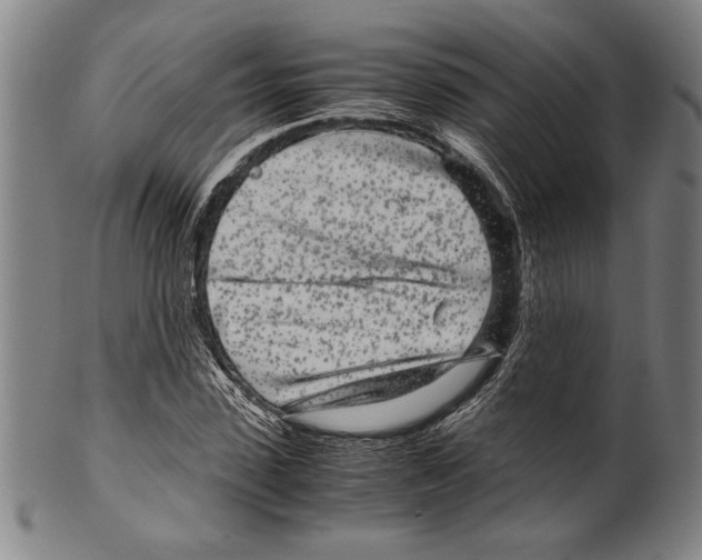 X0000099430923200806061016