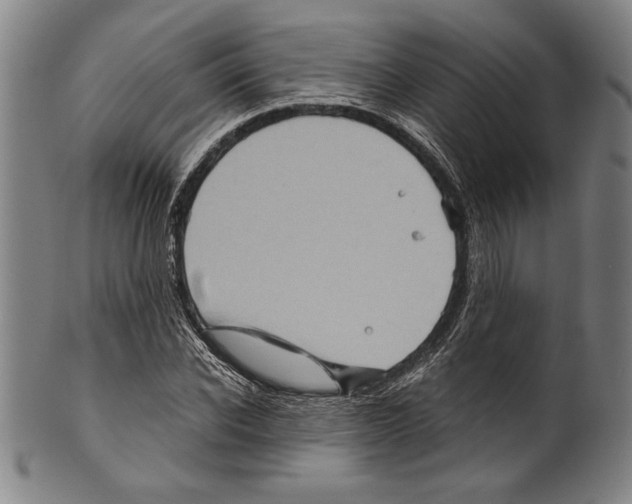 X0000099430926200806061016