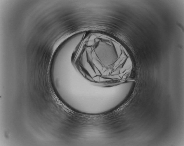 X0000099430928200806061016