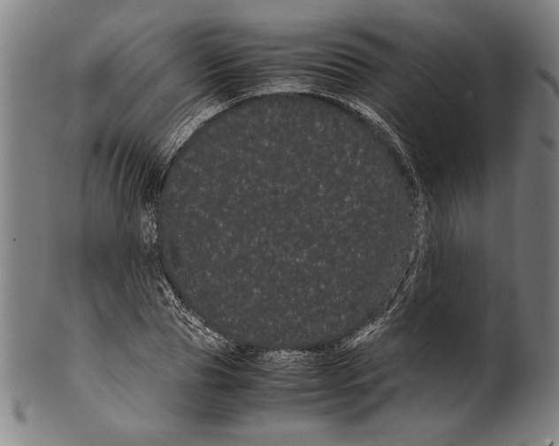 X0000099430929200806061016