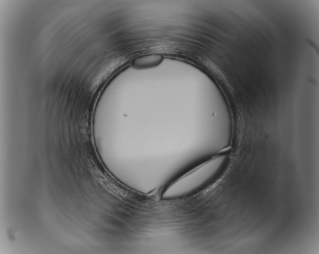 X0000099430930200806061016