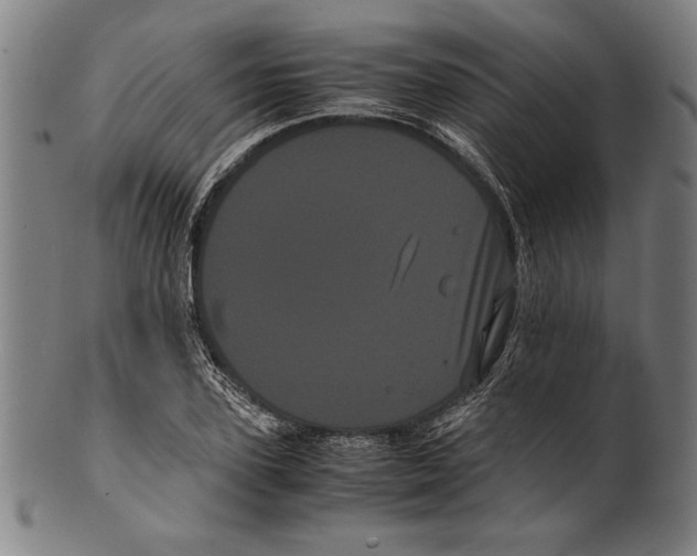 X0000099430931200806061016