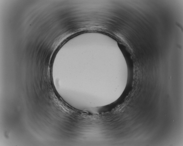 X0000099430932200806061016