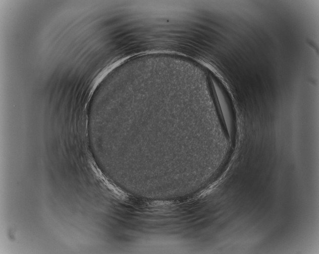 X0000099430933200806061016