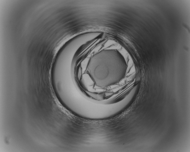 X0000099430936200806061016