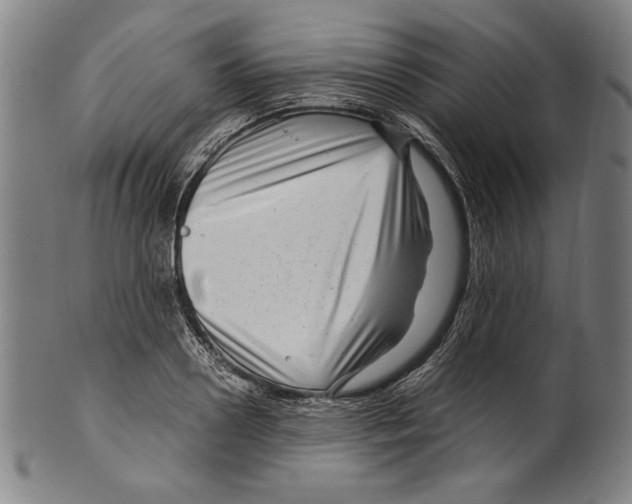 X0000099430938200806061016