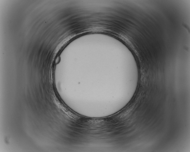 X0000099430939200806061016