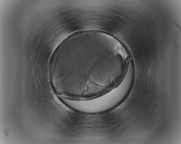 X0000099430941200806061016