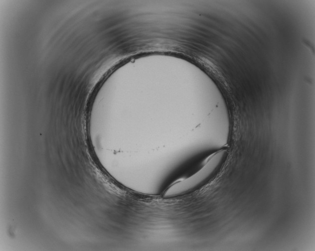 X0000099430942200806061016