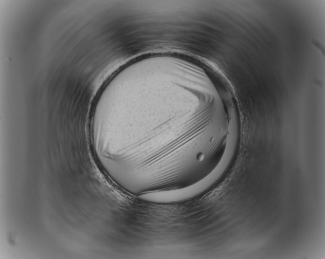 X0000099430943200806061016