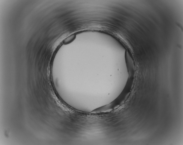 X0000099430944200806061016