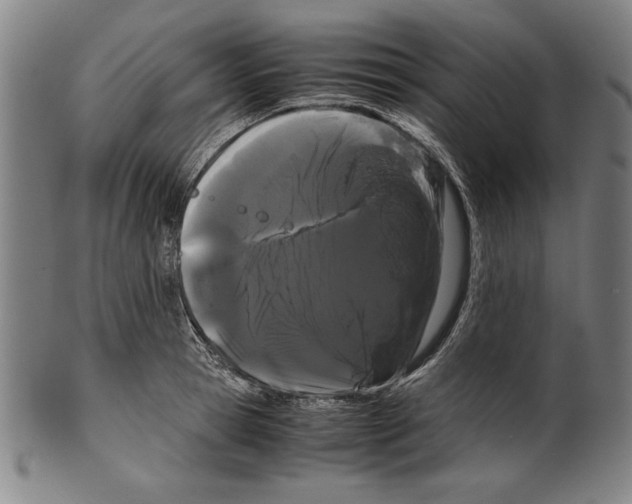 X0000099430945200806061016