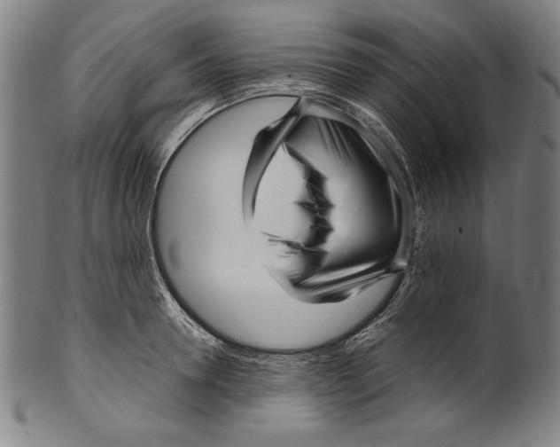 X0000099430946200806061016