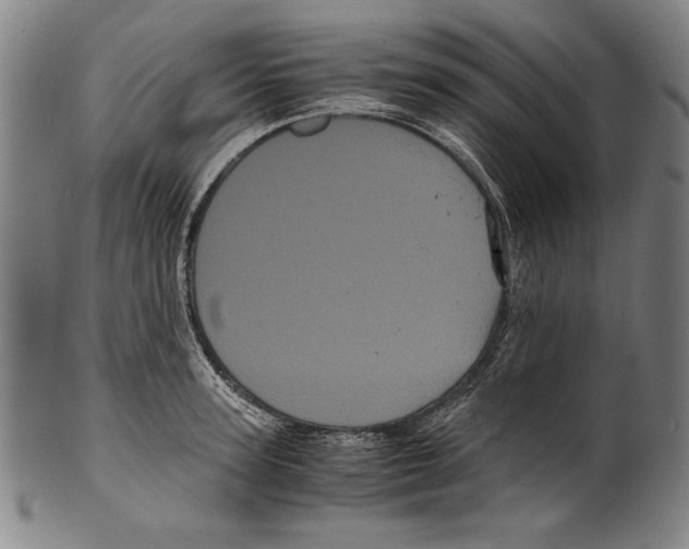 X0000099430947200806061016