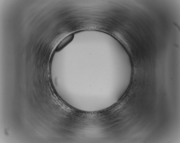 X0000099430948200806061016