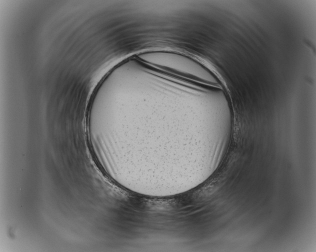 X0000099430951200806061016