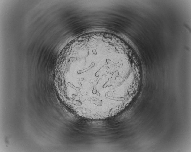 X0000099430953200806061016