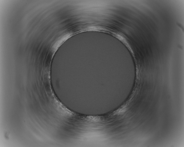 X0000099430954200806061016