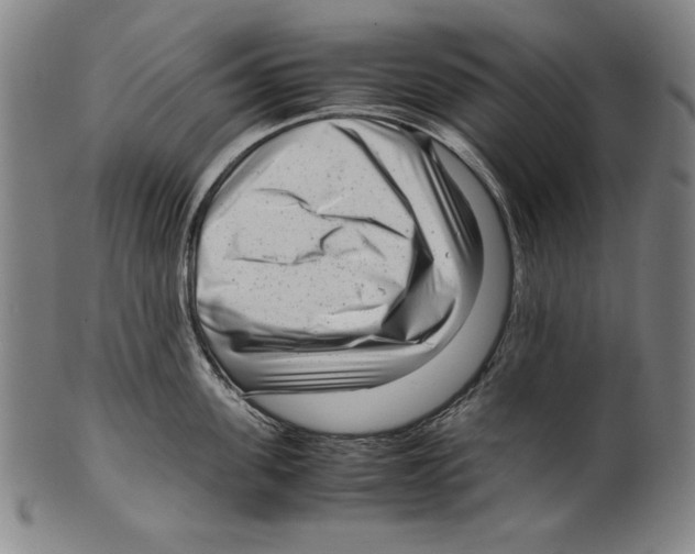 X0000099430955200806061016