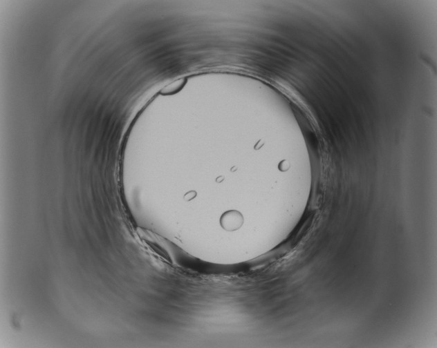 X0000099430956200806061016